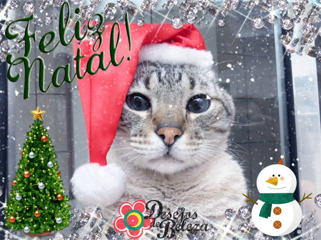 feliz natal - cartão 2012 POST